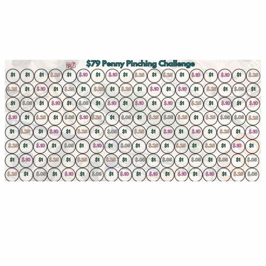$79 Penny Pitching  Saving Challenge